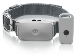 Motorola TRAINER 200U