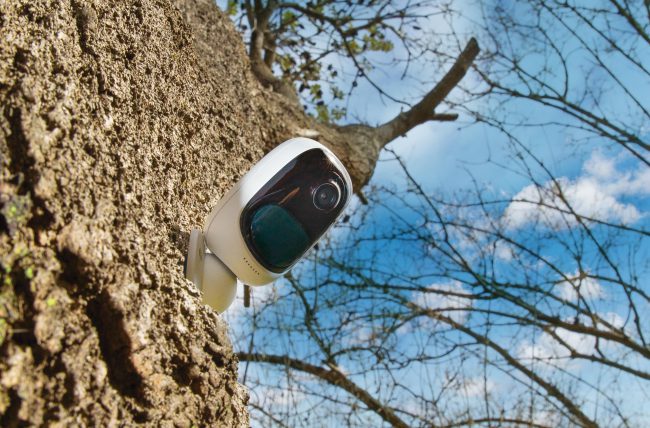 AppCamSoloTreet-crop-rgb